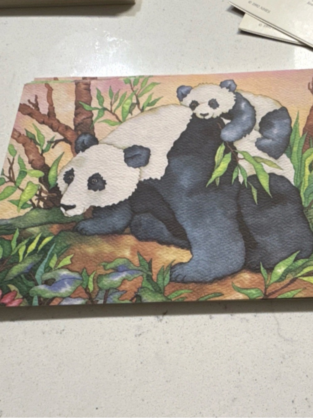Panda Family Birthday Card - Black & White Illustration